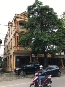 Chính chủ cần bán nhà 3 tầng 1 tum tại Khu 1, Phường Vân Phú, TP Việt Trì, Phú Thọ.