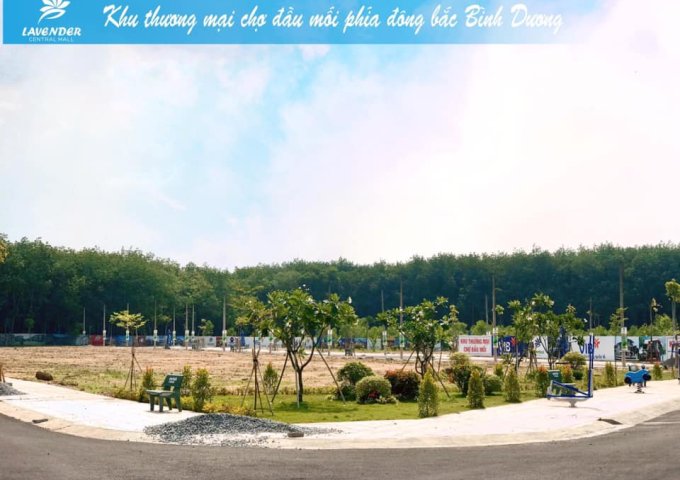 Bán đất nền dự án tại Đường Quốc Lộ 13, Bàu Bàng, Bình Dương diện tích 100m2 giá 250 Triệu