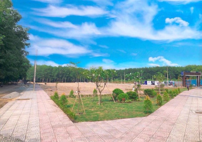 Bán đất nền dự án tại Đường Quốc Lộ 13, Bàu Bàng, Bình Dương diện tích 100m2 giá 250 Triệu