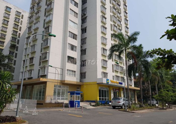 Chính chủ bán căn hộ D1  Phạm Thế Hiển, quận 8, vị trí đẹp, giá rẻ.