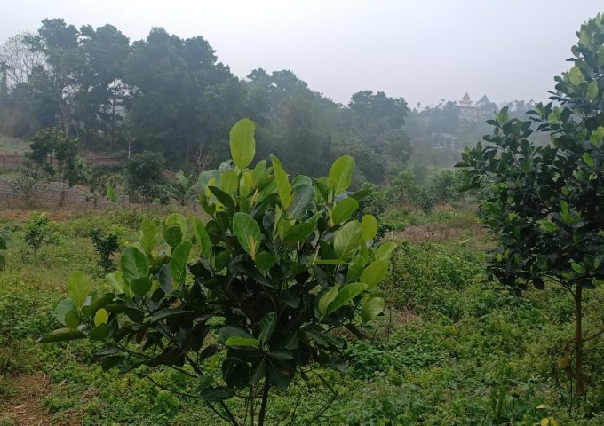 Bán 1845m2 đất làm nhà vườn khu Suối Ngọc, xã Tiến Xuân, Thạch Thất, Hà nội.