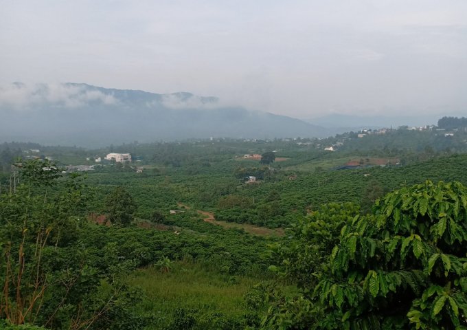 View đồi Bảo Lộc, Tuyệt Phẩm của thiên nhiên 15.741m2 , 400m2 thổ cư, giá 1.6 tỷ.