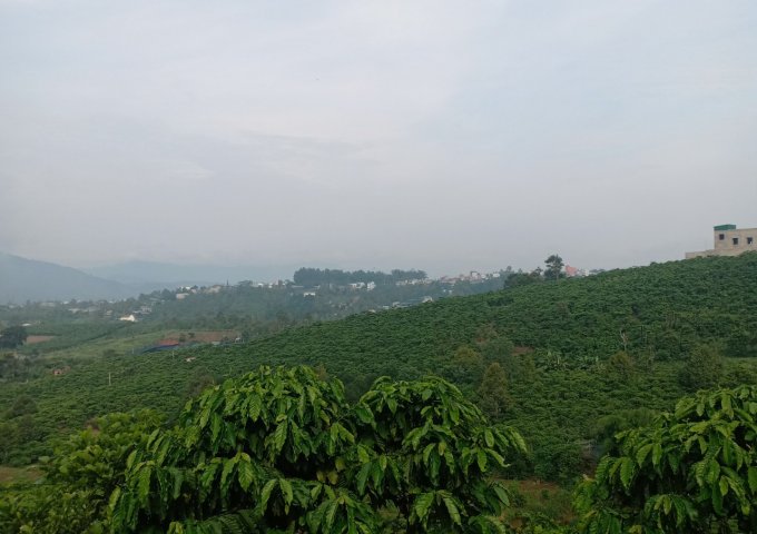 View đồi Bảo Lộc, Tuyệt Phẩm của thiên nhiên 15.741m2 , 400m2 thổ cư, giá 1.6 tỷ.