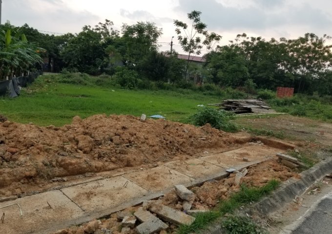 Bán đất khu Đồng Rừng, trục đường 13.5m Nguyễn Công Phụ, giá rẻ cho dân ở. Lh: 0972419997 