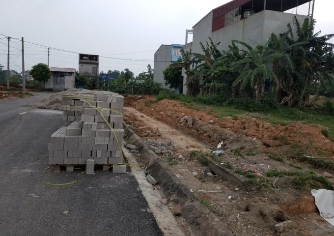 Bán đất khu Đồng Rừng, trục đường 13.5m Nguyễn Công Phụ, giá rẻ cho dân ở. Lh: 0972419997 