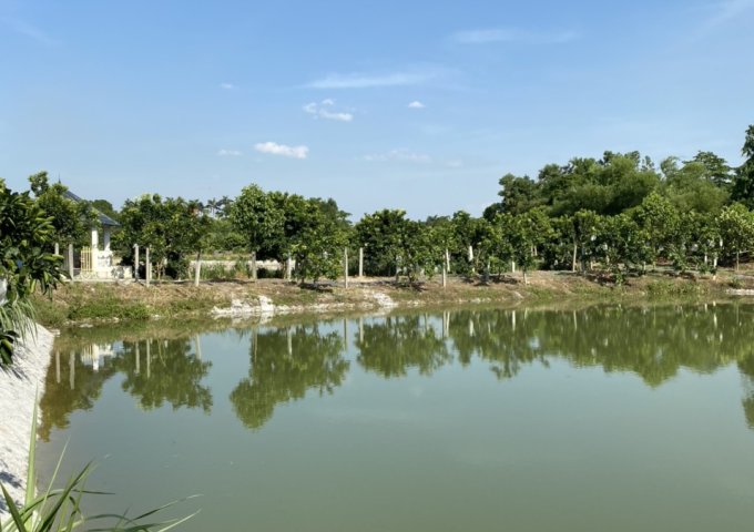 Cần bán khuân viên sẵn Lương Sơn cách sân golf sky lake 800m DT 20.000M2 thổ cư vườn có nhà ao to giá rẻ