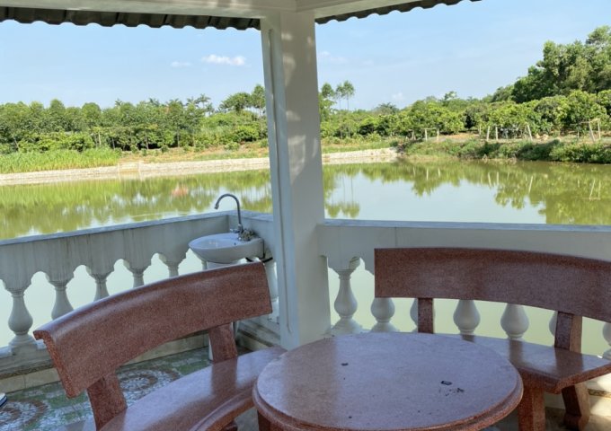 Cần bán khuân viên sẵn Lương Sơn cách sân golf sky lake 800m DT 20.000M2 thổ cư vườn có nhà ao to giá rẻ