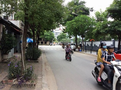 Chính Chủ Cần Cho Thuê Gấp Nhà KĐT Dịch Vọng, Cầu Giấy, Hà Nội