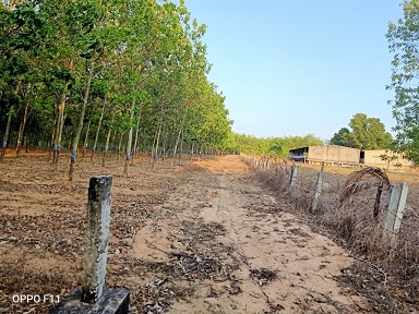 Cần bán 28ha đất thuộc xã Tân Hà, huyện Hàm Tân, tỉnh Bình Thuận