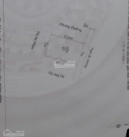 Bán đất ngõ Thành Tô, Tràng Cát, Hải An, 87m2, giá chỉ 6.5 tr/m2