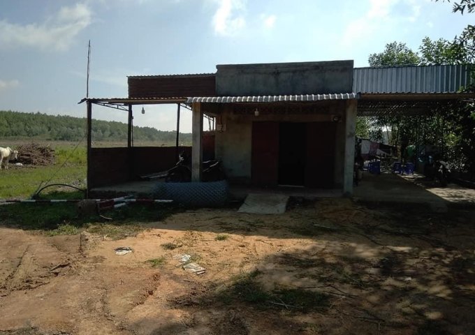 Bán trang trại khu di tích Tà Thiết xã Lộc Thịnh, Lộc Ninh, giá tốt