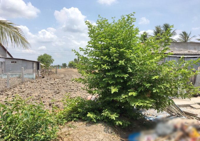 Bán lô đất 156m2 mặt tiền đường Huỳnh Tấn Phát P. Tân Phú Quận 7.