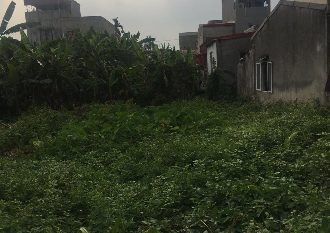 Bán lô đất ở Đồng Hòa, Kiến An, Hải Phòng. Liên hệ: 0345563343