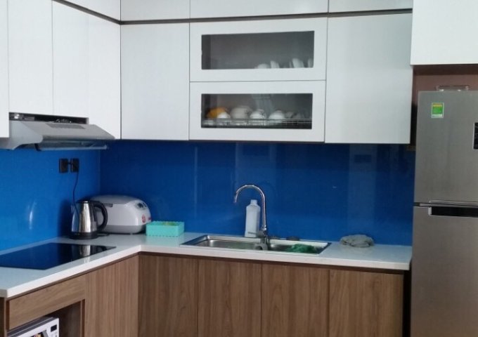 Cho thuê CHCC Chelsea Park 80m 2PN full đồ view bể bơi giá 14tr/tháng 