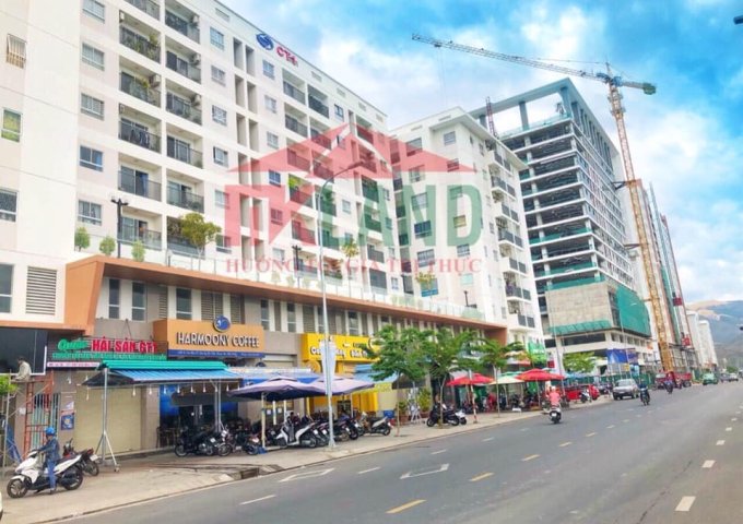 Bán căn hộ CT3 VCN Phước Hải 65m2 giá cực sốc chỉ 1,63 tỷ - LH 0903564696