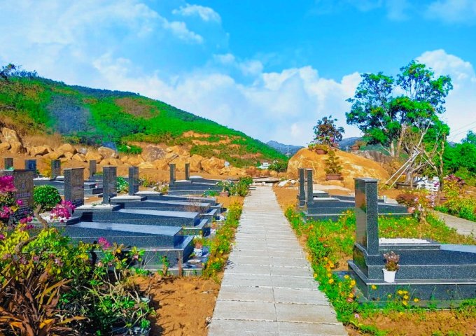 5 lý do tại sao bạn nên đầu tư vào dự án An Phúc Viên ngay bây giờ!