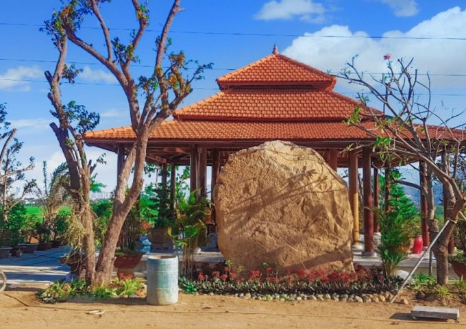 5 lý do tại sao bạn nên đầu tư vào dự án An Phúc Viên ngay bây giờ!