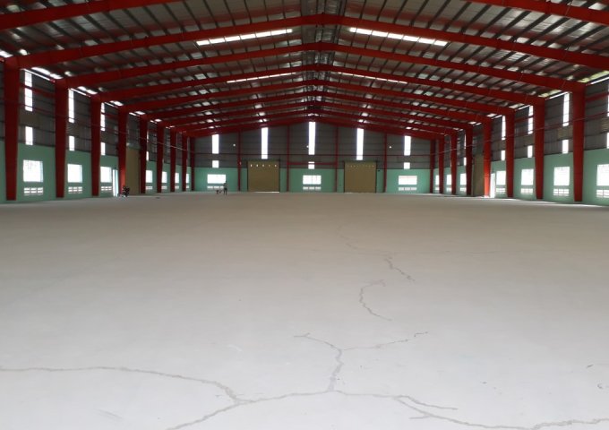 Cho thuê kho xưởng mới hoàn thiện mặt tiền Tỉnh Lộ 10 thuộc huyện Đức Hòa, tỉnh Long An
