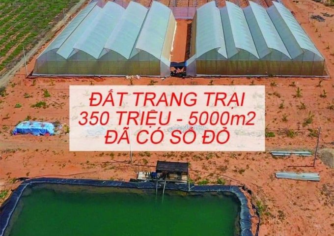 Đất Bình Thuận có Sổ Hồng chỉ 210 triệu/3000m2 sổ hồng riêng LH 0979732650