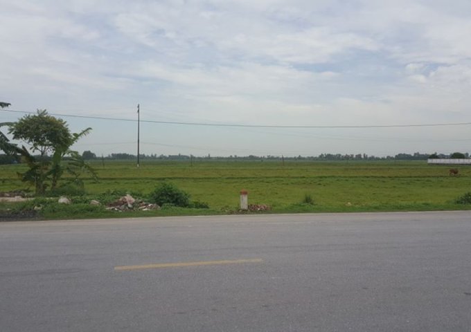 chuyển nhượng lô đất công nghiệp 40000m2 tại huyện Thanh Miện,Hải Dương