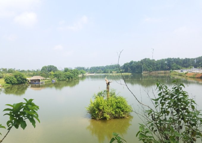 Bán gấp  1308m2 có 300m2 đất ở bám hồ tại Sơn Tây thích hợp làm nghỉ dưỡng sinh thái