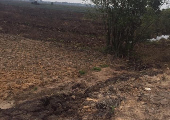 Bán đất tại Xã Thạnh Tân, Tân Phước,  Tiền Giang diện tích 138000m2  giá 24 Tỷ
