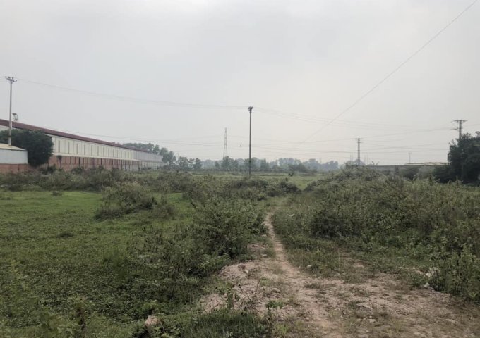 bán 2ha đất công nghiệp mặt đường Quốc lộ 18 tại thành phố Chí Linh,tỉnh Hải Dương