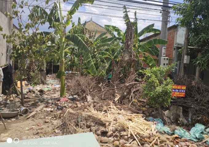 Cần bán đất gấp tại Ấp Thanh Tân , Xã Thanh Phú Long, Huyện Châu Thành, Long An