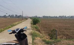 Chính chủ cần bán đất ấp 4 xã An Thạnh, Bến Lức, Long An