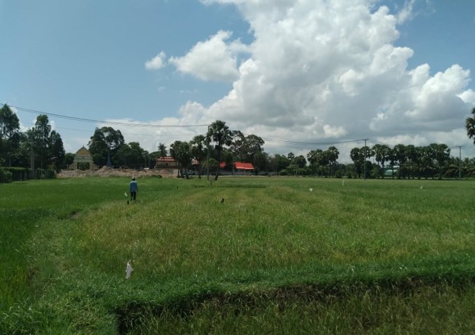 Chính chủ cần bán gấp đất ruộng tại ấp Vĩnh hạ, Vĩnh Trung, Tịnh Biên, An Giang