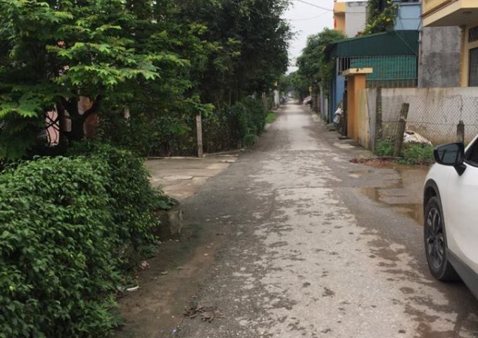 Bán đất mặt đường chùa Từ Xuyên phường Hoàng Diệu t.p Thái Bình