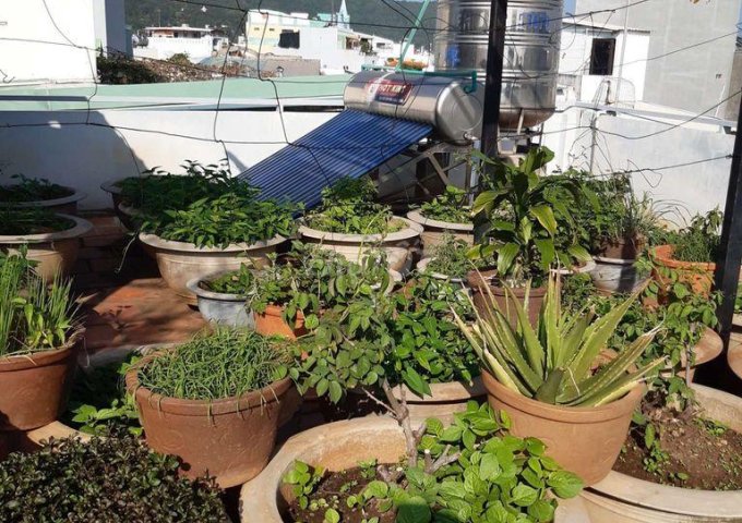 Chính chủ cần bán nhà đất phường 6, vũng tàu, Tỉnh Bà Rịa Vũng Tàu