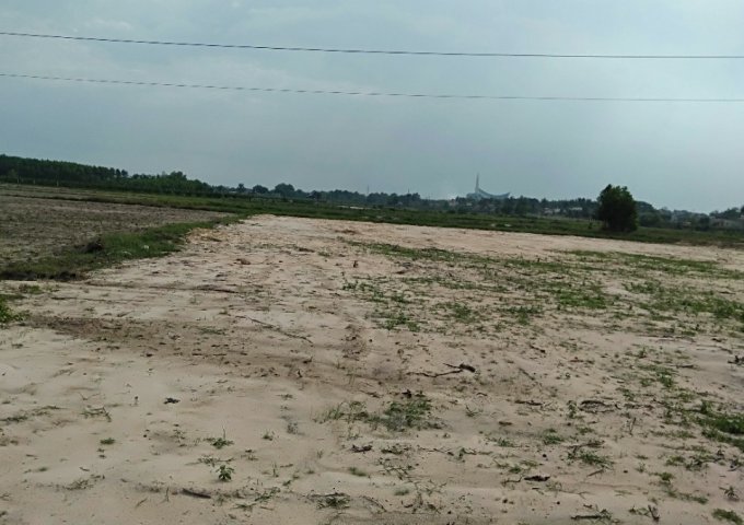 Cần bán lô đất giá rẻ khu vực Tân Bình, thị xã Lagi. 