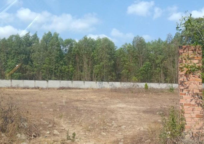 Bán đất làm kho, xưởng tại Phước Bình.3891m2.SHR.LH:0979691009