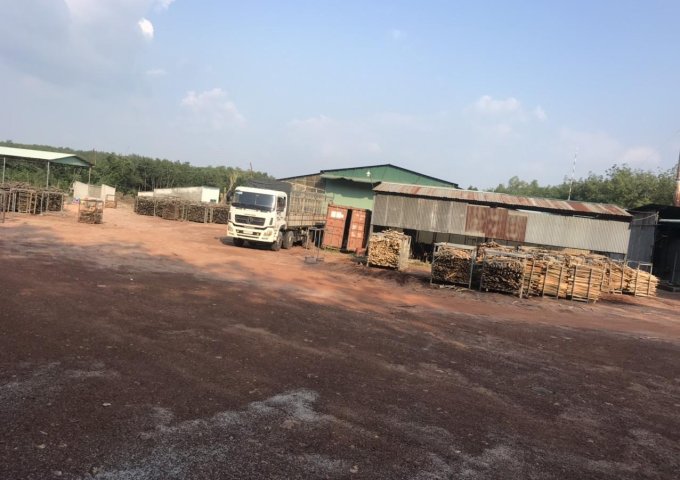 Bán nhà xưởng sản xuất gỗ, tổng 23.000m2, tại huyện Dầu Tiếng, Bình Dương.
