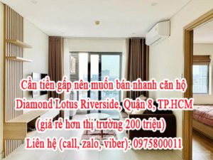 Cần tiền gấp nên muốn bán nhanh Căn Hộ Diamond Lotus Riverside.(giá rẻ hơn thị trường 200tr bằng tiền đi thuê nhà 2 năm của căn hộ).