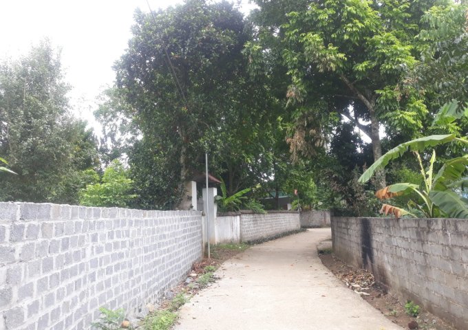 Bán rẻ khuôn viên nhà vườn 1700m2 tại Lâm Sơn- Lương Sơn- Hòa Bình