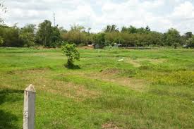 Bán 2ha đất trồng cây lâu năm (7 sổ liền kề) tại ấp Đồn, xã Trung Lập Hạ, huyện Củ Chi, Tp. Hồ Chí Minh.