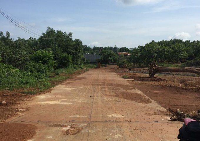 Bán đất tại Đường Quốc lộ 14, Đồng Phú,  Bình Phước diện tích 211m2  giá 2.8 Triệu/m²