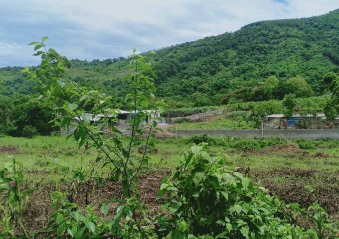 Bán đất tại Xã Hợp Hòa, Lương Sơn,  Hòa Bình diện tích 2,500m2