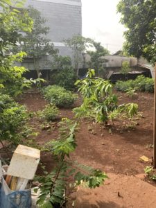 Cần bán đất manglin Phường 7 - TP Đà Lạt, tỉnh Lâm Đồng