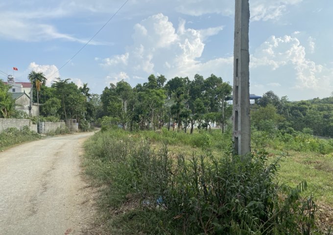 Bán đất mặt đường xóm Đồng Quýt, xã Hòa Sơn, huyện Lương Sơn. Giá tốt