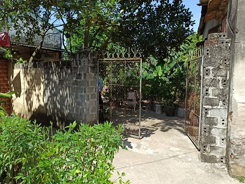 Bán đấu giá BĐS tại thôn Đỗ Xá, xã Vạn Điểm, huyện Thường Tín, thành phố Hà Nội.