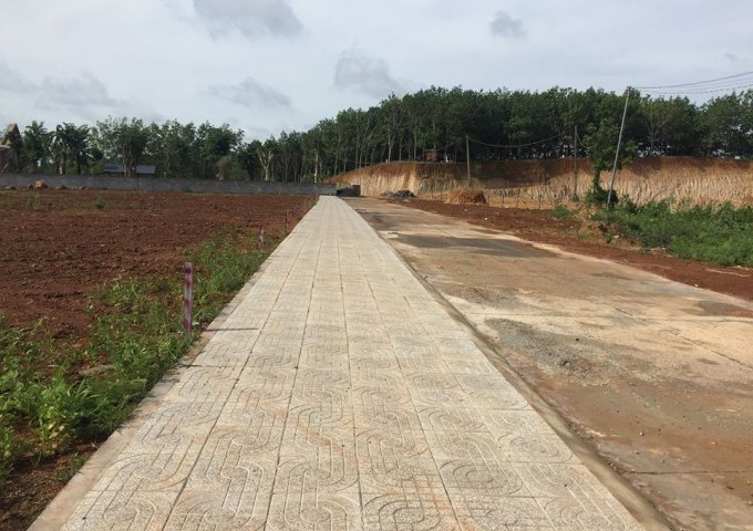 Bán đất tại Xã Đồng Tiến, Đồng Phú,  Bình Phước diện tích 211m2  giá 570 Triệu