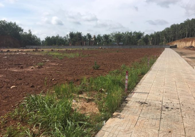Bán đất nền dự án tại Đường Quốc lộ 14, Đồng Phú,  Bình Phước diện tích 210m2  giá 2.8 Triệu/m²