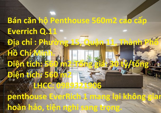 Bán căn hộ Penthouse 560m2 cao cấp Everrich Q.11