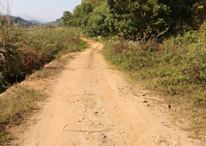 Do nhu cầu  chuyển chỗ ở tôi cần bán một trang trại tại km13 xã Tân Hương huyện Yên Bình, tỉnh Yên Bái