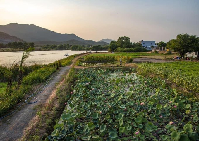 Đất Nghỉ dưỡng view Ven hồ Marina, View núi Dinh , Châu Pha, Phú Mỹ, BRVT