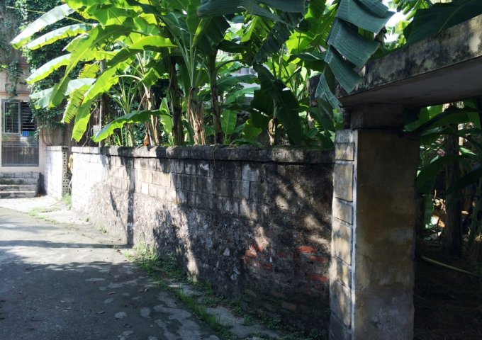 Bán đất tại Phố Vũ Mạnh Hùng, Kinh Môn,  Hải Dương diện tích 513.0m2  giá 4,150 Triệu