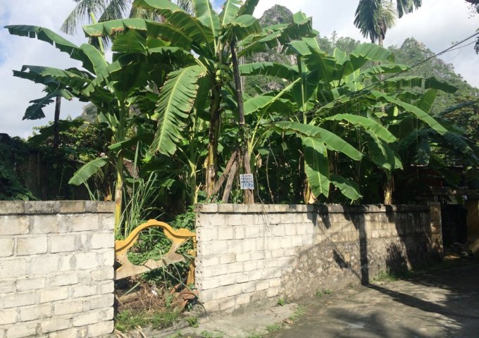 Bán đất tại Phố Vũ Mạnh Hùng, Kinh Môn,  Hải Dương diện tích 513.0m2  giá 4,150 Triệu